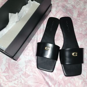 Coach Black Slides with Gold Accent